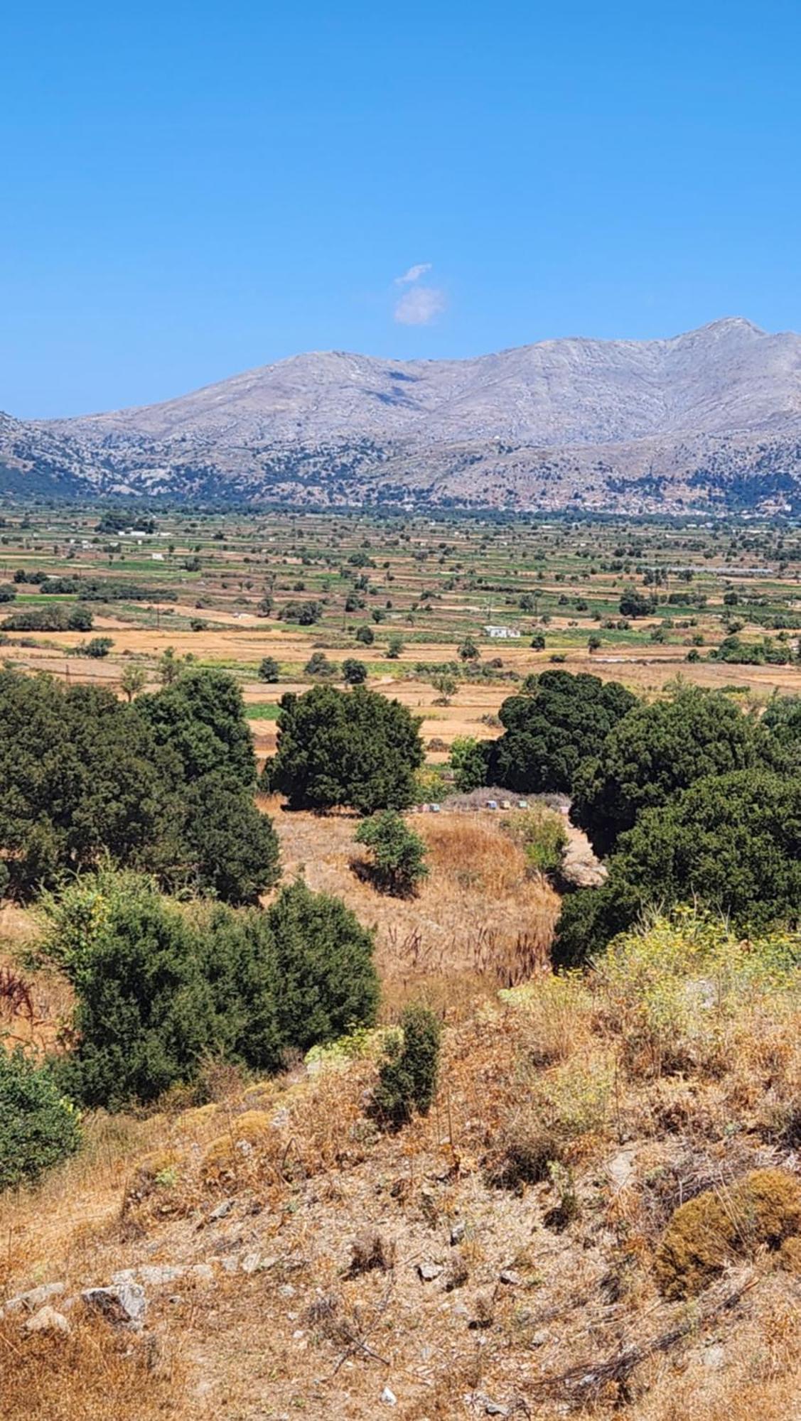 Hotel Dionysus Lasithi Plateau Magoulás Exterior foto